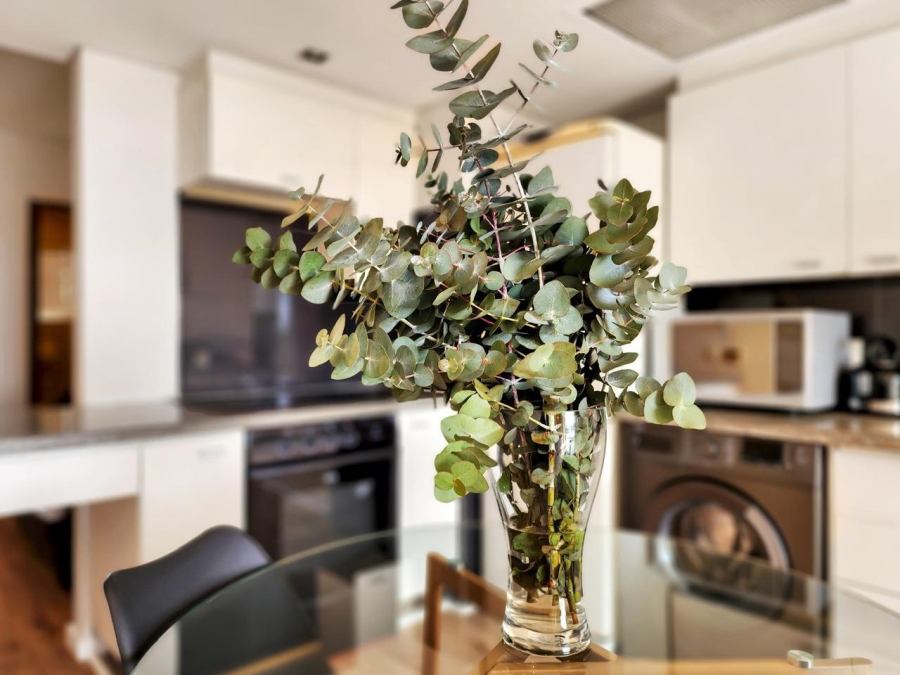 1 Bedroom Property for Sale in De Waterkant Western Cape